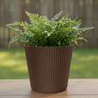 Cachepot Medio em Plastico 16x15cm Café Evora Desli