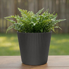 Cachepot Medio em Plastico 16x15cm Grafite Evora Desli