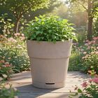 Cachepot Médio em Plástico 20cm Fendi Florença West Garden