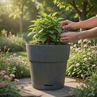 Cachepot Médio em Plástico 20cm Verde Florença West Garden