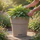 Cachepot Médio em Plástico 25cm Fendi Florença West Garden