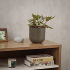 Cachepot Médio em Plástico 16x15cm Basalto Raiz