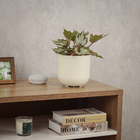 Cachepot Médio em Plástico 16x15cm Calcário Raiz