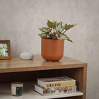 Cachepot Médio em Plástico 16x15cm Terracota Raiz