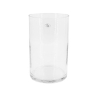 Cachepot Médio Vidro 30x19x19cm Transparente Cilindro Ts