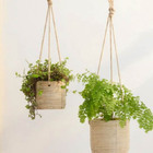 Cachepot Pendente Conan Areia 36 Cm