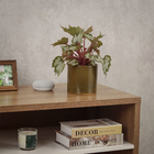 Cachepot Pequeno em Cerâmica 13x13cm Verde Musgo Sila Ts Brasil