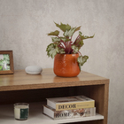 Cachepot Pequeno em Cerâmica 13x15cm Laranja Flor Ts Brasil