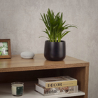 Cachepot Pequeno em Cerâmica 13x15cm Preto Fosco Bretagne Ts Brasil