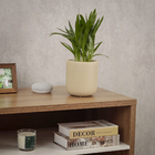 Cachepot Pequeno em Cerâmica 15x13,7cm Bege Burian