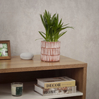 Cachepot Pequeno em Cerâmica 15x14,5cm Terracota Moderno Burian by Cerâmica Burguina