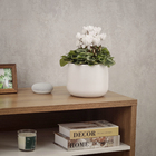 Cachepot Pequeno em Cerâmica 15x19cm Branco Bretagne Ts Brasil