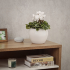 Cachepot Pequeno em Cerâmica 15x19cm Branco Lorance Ts Brasil