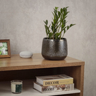 Cachepot Pequeno em Cerâmica 15x19cm Chumbo Points Ts Brasil