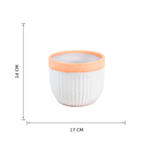 Cachepot Pequeno Cerâmica 1x19cm Bege Floral Atlanta