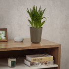 Cachepot Pequeno em Plástico 15x13cm Basalto Raiz