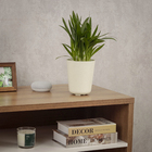 Cachepot Pequeno em Plástico 15x13cm Calcário Raiz