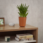 Cachepot Pequeno em Plástico 15x13cm Terracota Raiz