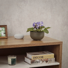 Cachepot Pequeno em Plástico 8x14cm Basalto Raiz