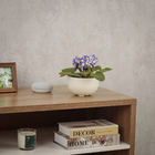 Cachepot Pequeno em Plástico 8x14cm Calcário Raiz