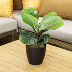 Cachepot Plastico Bage Preto 14x13cm Vasart