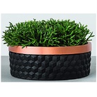 Cachepot Preto E Cobre Em Cimento Pequeno Mart