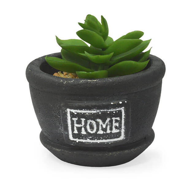 Cachepot Preto Home Tipo Cimento Com Suculenta Mod3