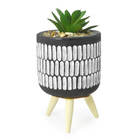 Cachepot Preto Pés De Madeira Com Suculenta Mod3