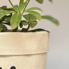 Cachepot Quadradoc/ Vira E Frases