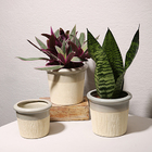 Cachepot Raízes Arena G