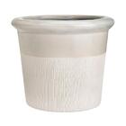 Cachepot Raízes Arena G