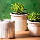 Cachepot Raízes Arena M