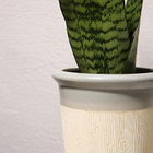 Cachepot Raízes Arena M