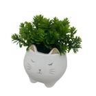 Cachepot Rosto De Gatinho Branco De Cerâmica Com Planta