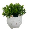 Cachepot Rosto De Gatinho Branco De Cerâmica Com Planta