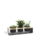 Cachepot Trio De Mesa - Preto