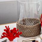 Cachepot Vaso Crochê Pequeno