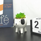 Cachepot Vaso Vasinho Com Suculenta Plantinha Cachorro Preto