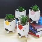 Cachepot Vaso Vasinho Com Suculenta Plantinha Gatos Cinza