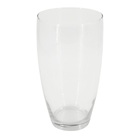 Cachepot Vidro 14x25cm Transparente Rachel Ts