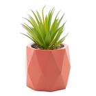 Cachepot Wolff Diamond De Cimento Salmão 10cm X 17cm