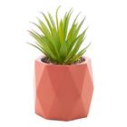 Cachepot Wolff Diamond De Cimento Salmão 10cm X 17cm