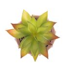 Cachepot Wolff Spikes De Cimento Marrom 10cm X 15cm