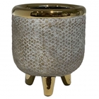 Cachepots De Ceramica Bege E Dourado