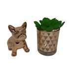 Cachorro Bulldog E Vaso Rose Gold Com Plantinha