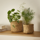 Cachupot em Cimento Dim Bege 14,5 x 16,5 Mart