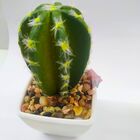 Cacto Artificial Mini Vaso - Arranjo De Vasinhos Branco