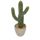 Cacto Decorativo Em Plastico E Ceramica Bege 19cm X 14cm X 4