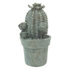 Cactos De Resina Acabamento Cimento Envelhecido