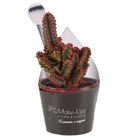 Cactus Castelo de fadas Pote 06